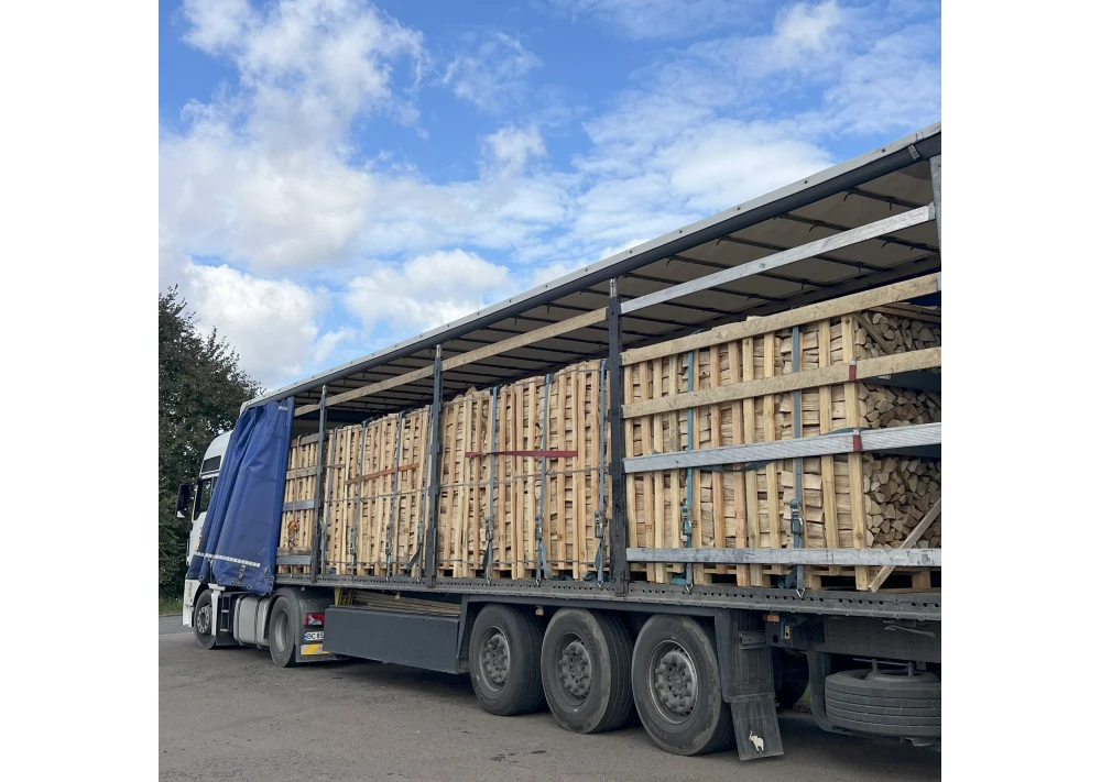A1.webp LKW Brennholz Hainbuche Buche 22 Paletten ( 44 RM ) 25 / 33cm – Bild 1