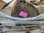 40 cm trockenes Brennholz auf Hartholzmischpalette – Bild 5